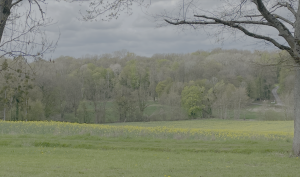 La Vallée du Raboireau