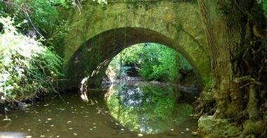 Image pont
