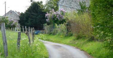 Image chemin